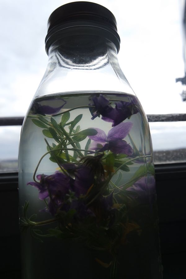 recette violette