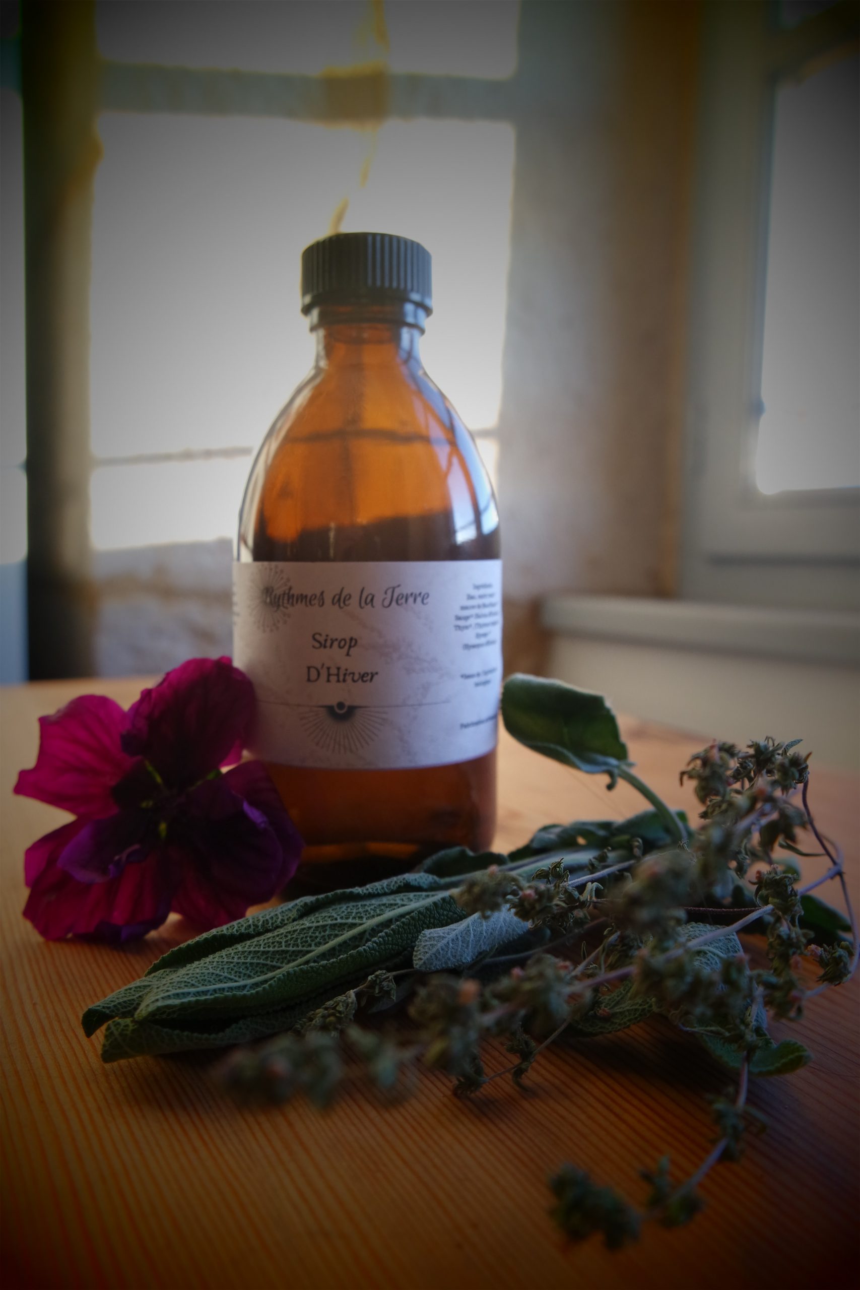 rhume plantes médicinales