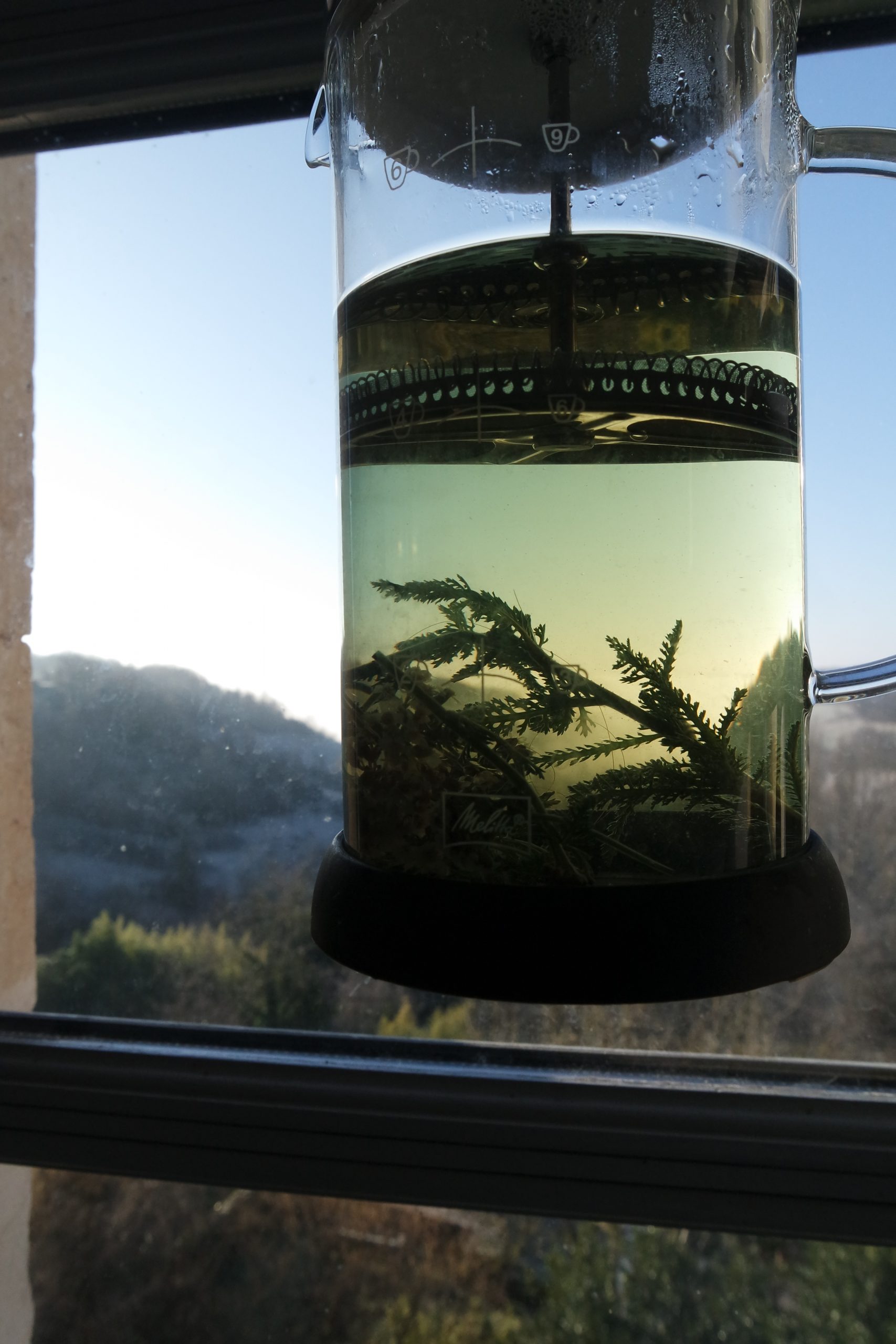 achillée rhume angine
