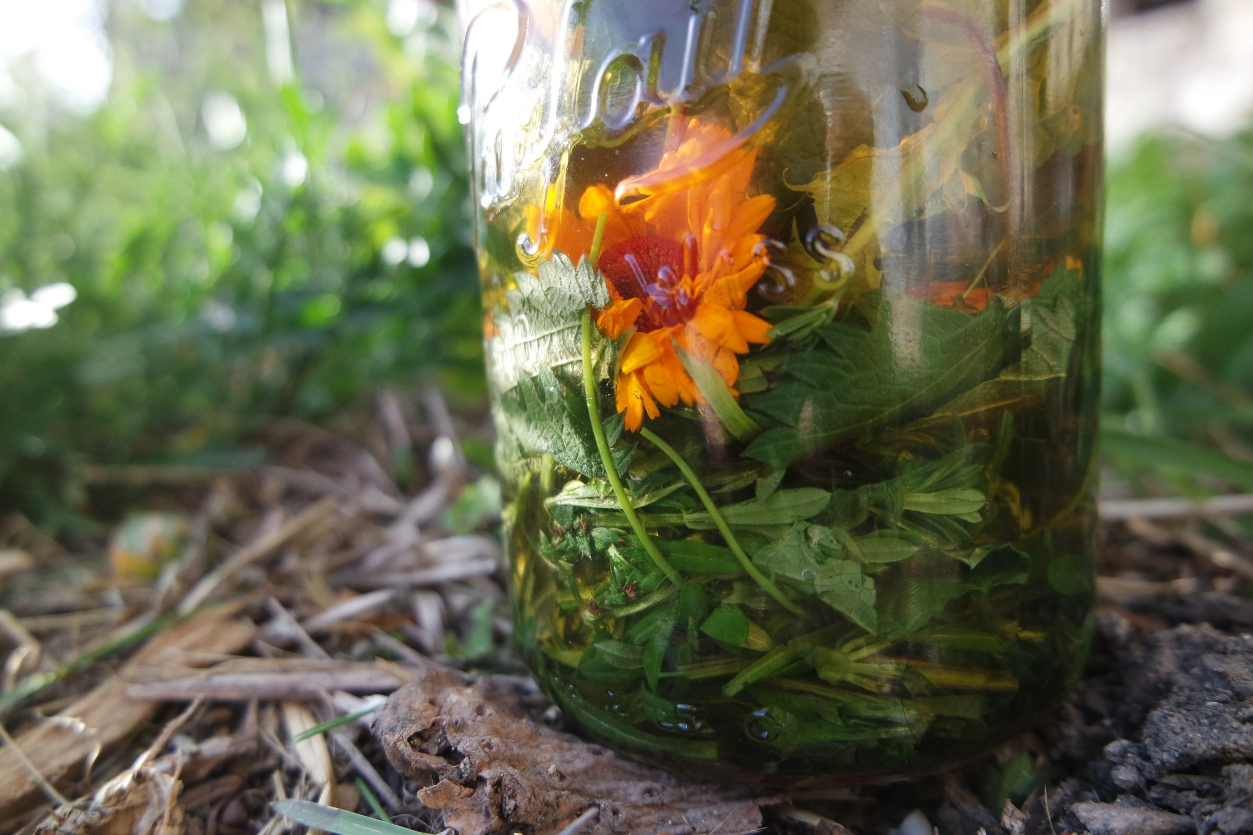vinaigre de printemps