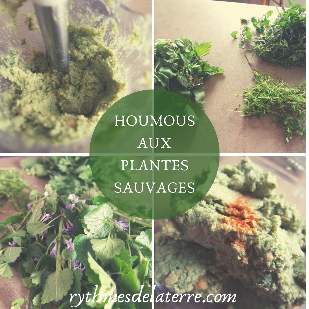 détox naturelle plantes détoxification dépuratives