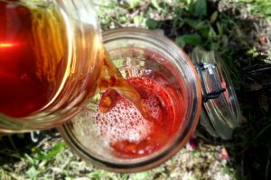 fabriquer produits plantes médicinales stage