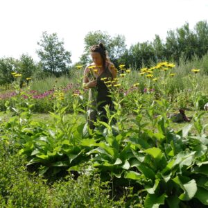 Adeline Mandirac stage formation herboristerie