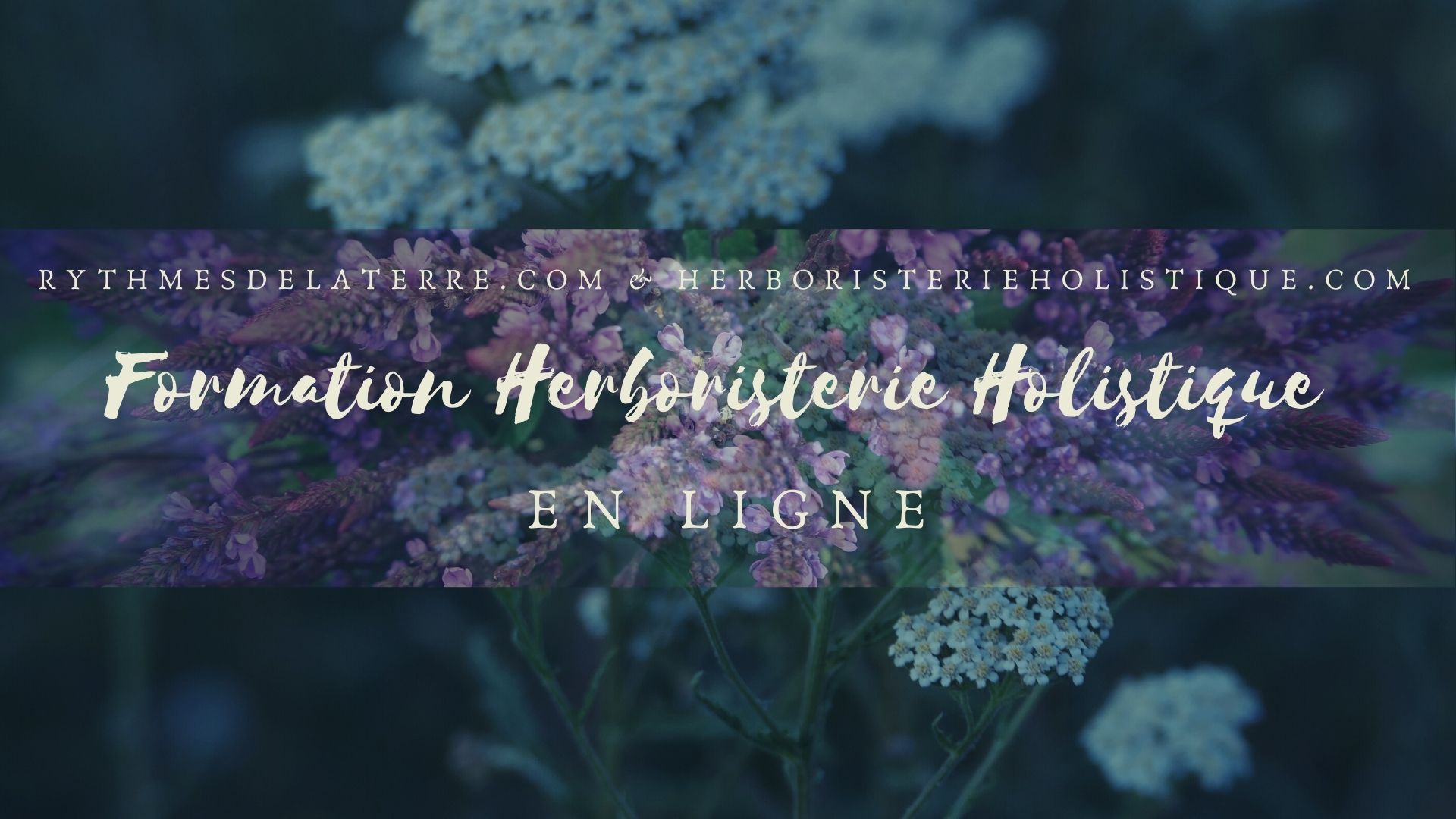 formation plantes médicinales en ligne