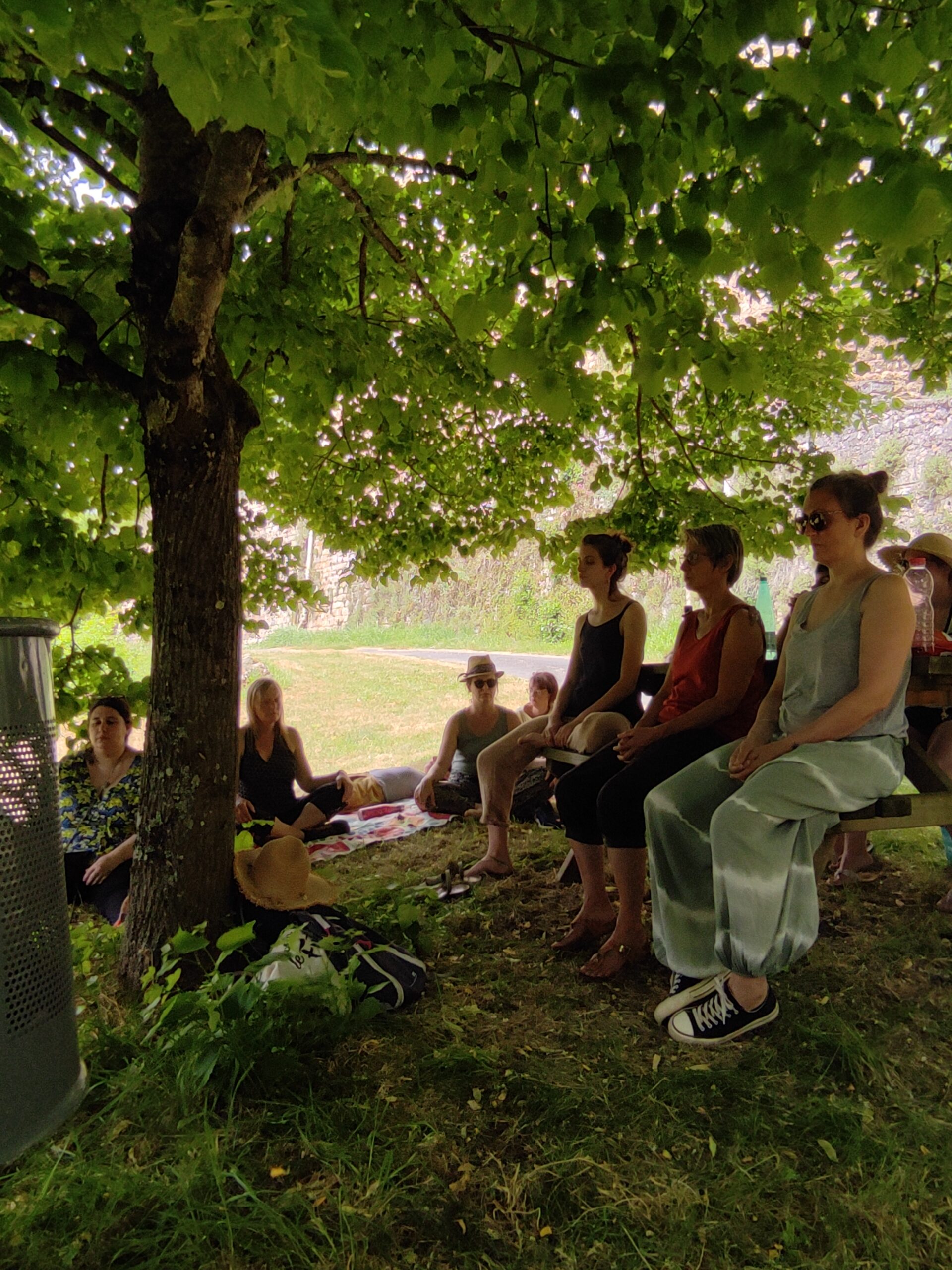 stage herboristerie sensorielle et intuitive