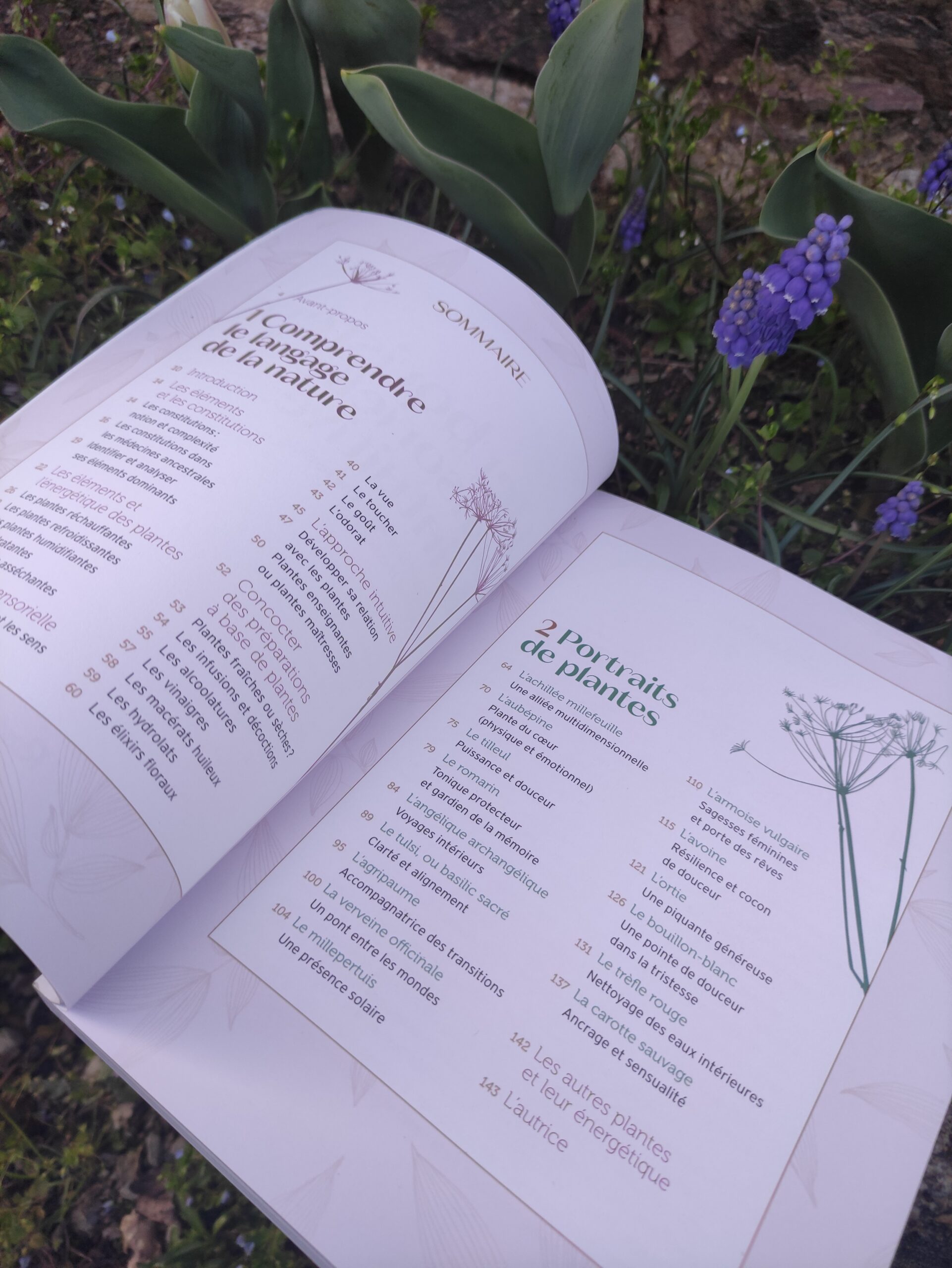 approche sensible des plantes médicinales