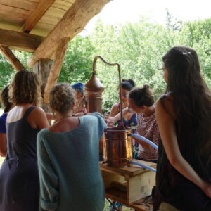 des femmes qui distillent dans un alambic en cuivre pendant une formation en herboristerie près de Toulouse
