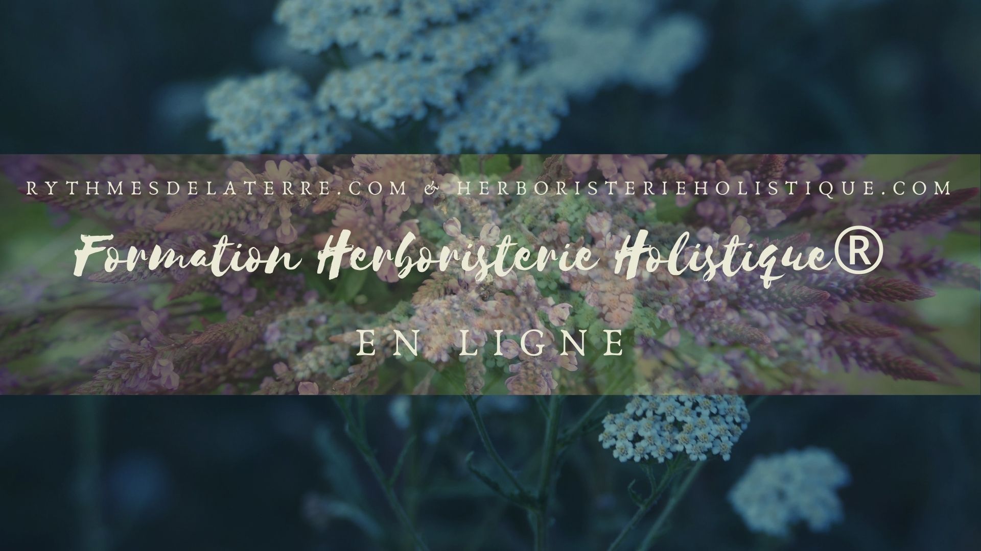 formation plantes médicinales en ligne
