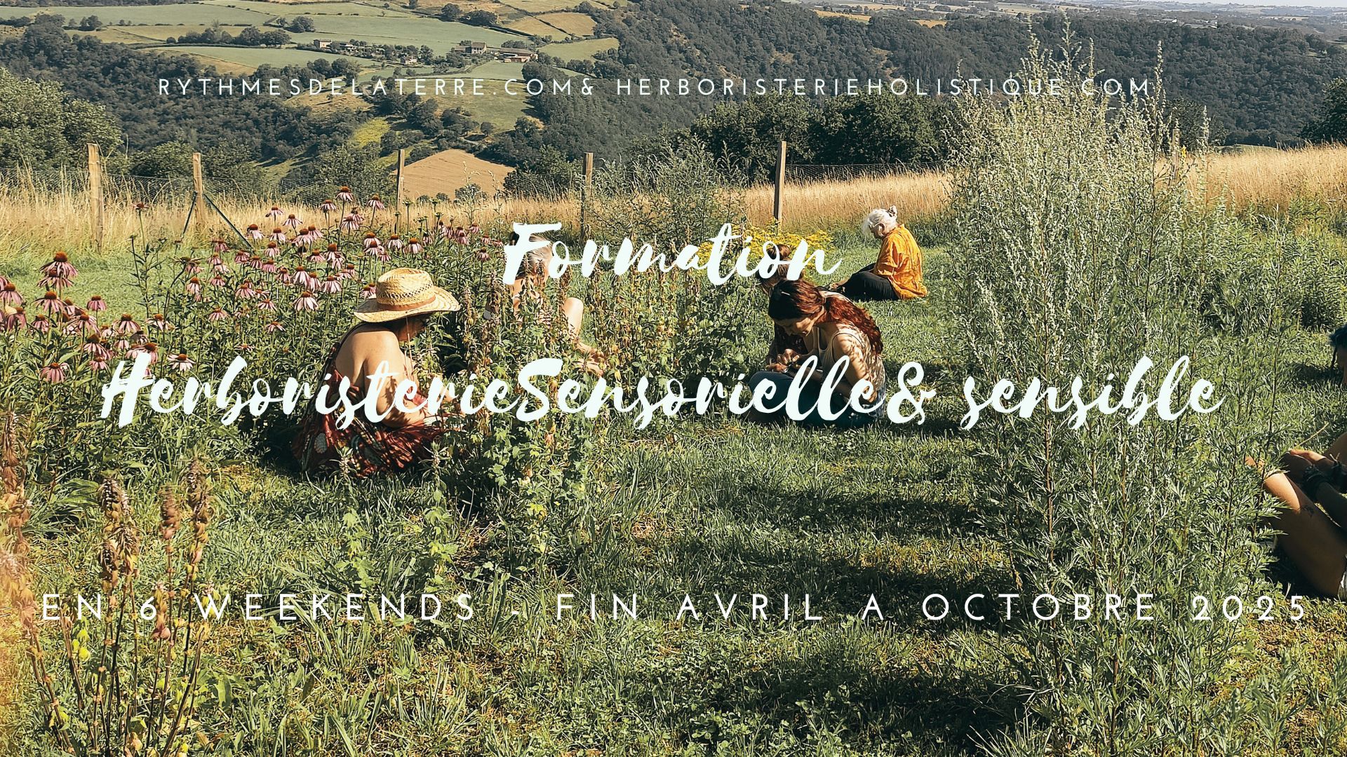 formation herboristerie sensorielle et intuitive