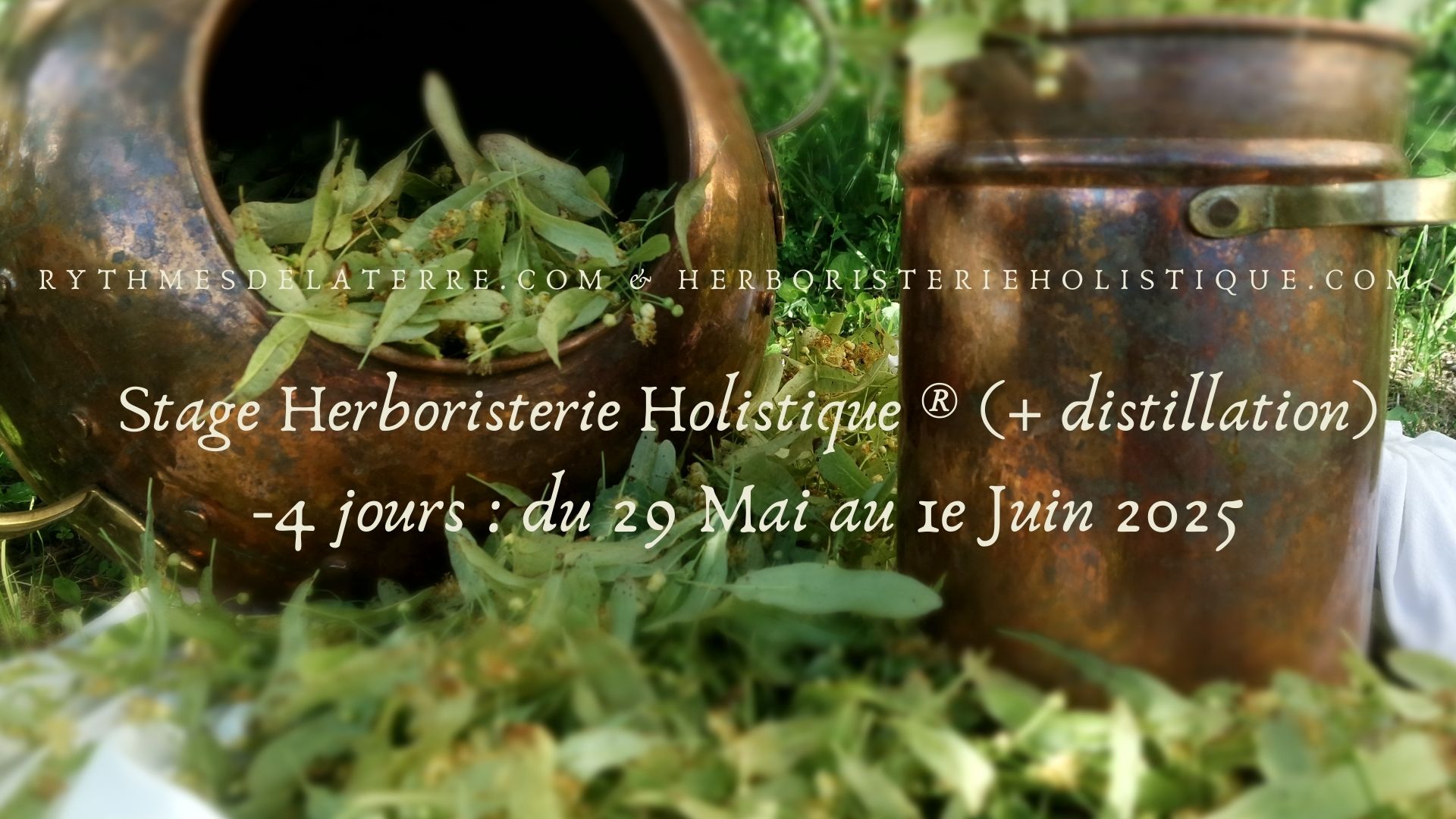 Stage herboriste