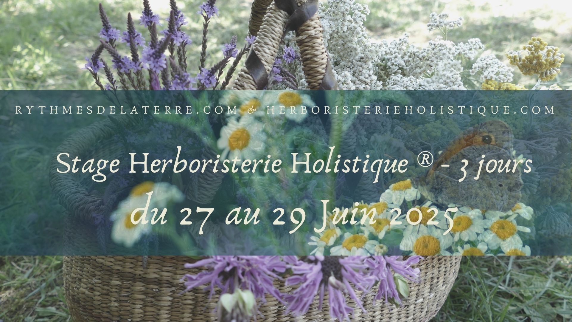 formation herboristerie Toulouse